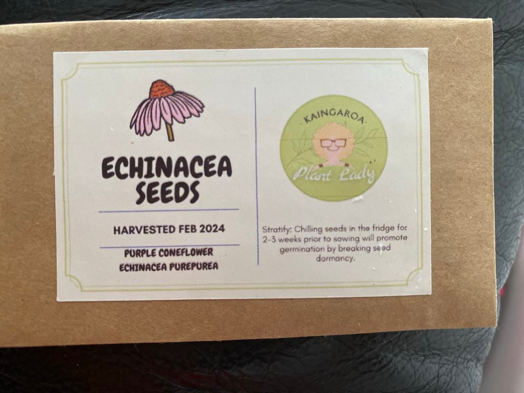 Echinacea Seeds - Grow your own Immune-Boosting Flower