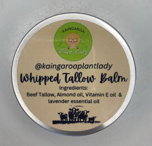 Whipped Tallow Balm Lavender Bliss (80ml)